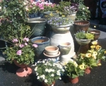 Plants, Planters and Pots, OH MY!