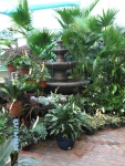 Fountains and More