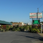 The front lot