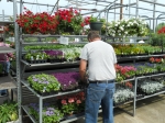 Even more flowers