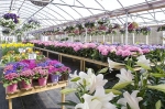 Plenty of Selection
