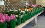 Spring on Over