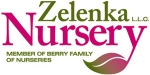 Zelenka Nursery