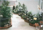 Fountain Selections