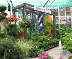 Quality Monrovia Plants