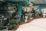 Fantastic Fountain Selection
