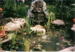 Pond Essentials