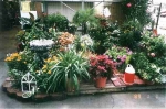 Great selection for Indoor or Outdoors!