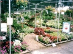 Choices for your next project!