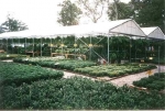 We have plants EVERYWHERE!