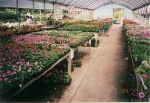 A Rainbow of Color!