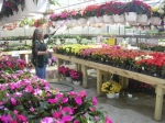 We take great care of our plants!