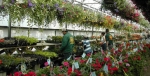 We take great care of our plants!
