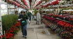 Our expansive Greenhouse