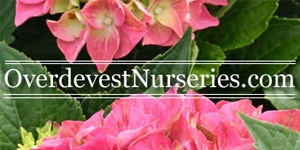 Overdevest Nurseries