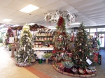 Holiday Trees