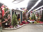 Holiday Trees