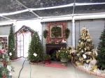 Holiday Trees