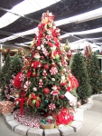 Holiday Trees