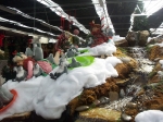 Holiday Waterfall