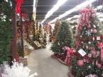 Holiday Trees