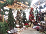 Holiday Trees