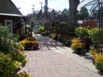 All Season's Garden Center