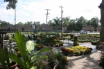 All Season's Garden Center