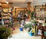 All Season's Garden Center