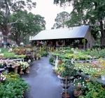 All Season's Garden Center