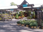 All Season's Garden Center