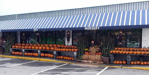 Montpelier Store Front