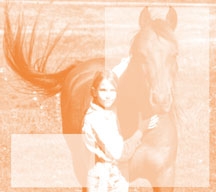 5th Annual Agriventures Agway Equine & Pet Event