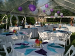 Clear Top Tent