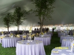 Inside Tent