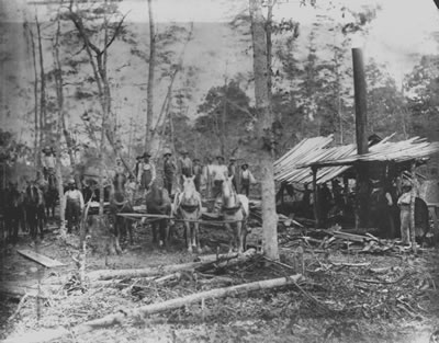 Frank Sanford and portable sawmill