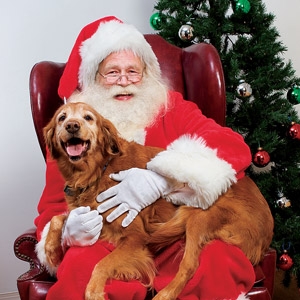 Santa Pictures at Soldan's