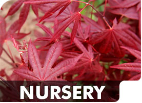 Nursery