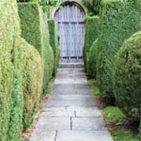 Build a Concrete Walkway