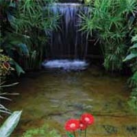 Build a Medium Pond With a Waterfall