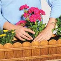 Build an Indoor Window Planter