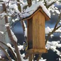 Build a Wooden Bird Feeder