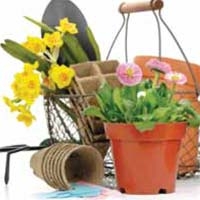 Gardening Tool Gift Bouquet