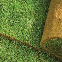Laying Sod