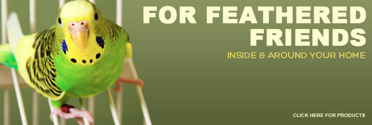 Feathered Friend Slider