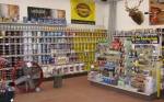 Paint and Supplies