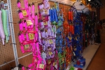 Hamilton Halters