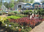 Brock Farms 1