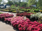 Brock Farms 3