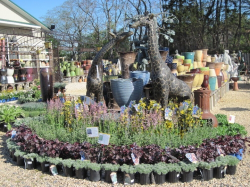 Brock Farms Home & Garden World | nurseries in nj, plant nurseries in